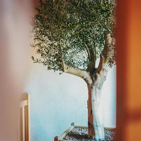 La Table D'